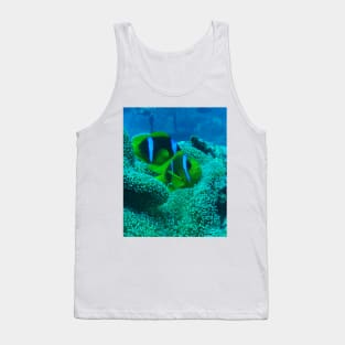 Clownfish Tank Top